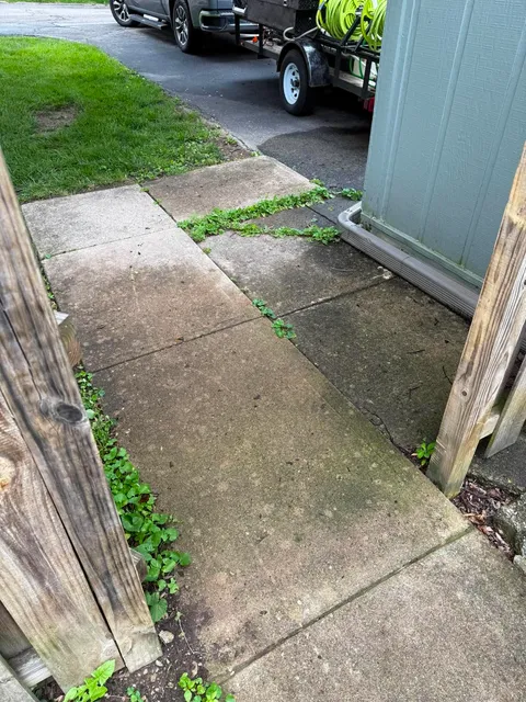 image-1289655809668209